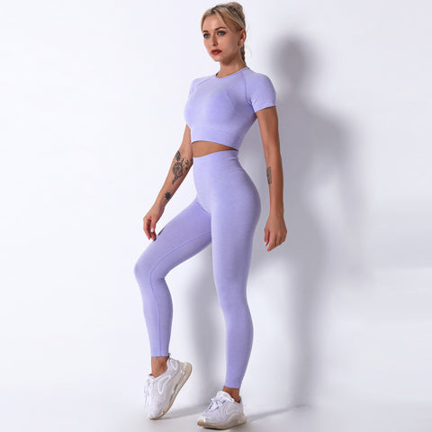 Seamless Knitted Workout Short Sleeve Yoga Set